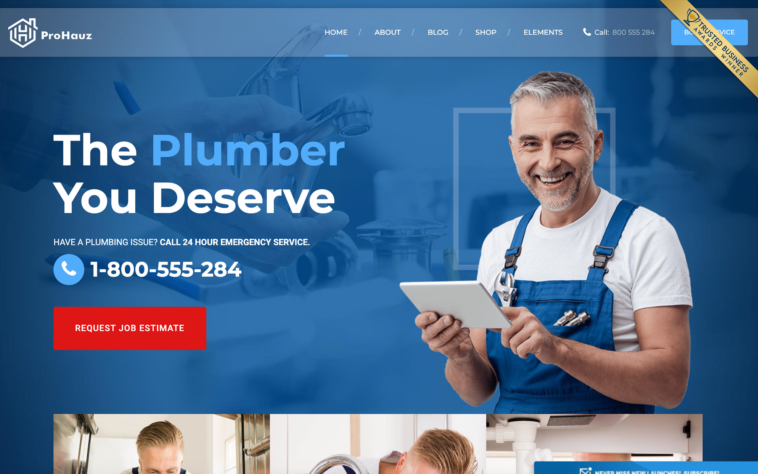 Trusted Business Award displayed on a real website